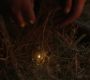 Filename=LOTR_2219.jpg
Filesize=147KiB
Dimensions=1920x800
Date added=Sep 28, 2022 LOTR_2219.jpg