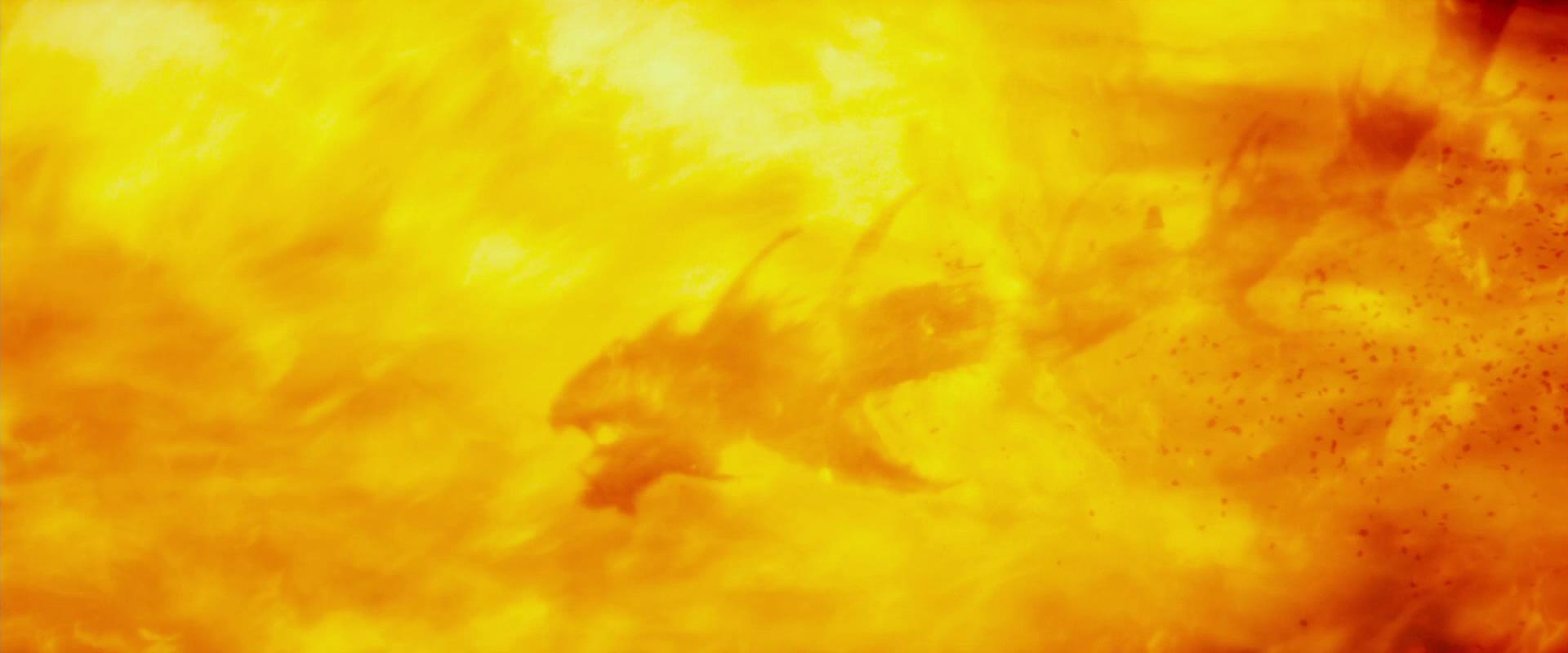 TH_0179.jpg