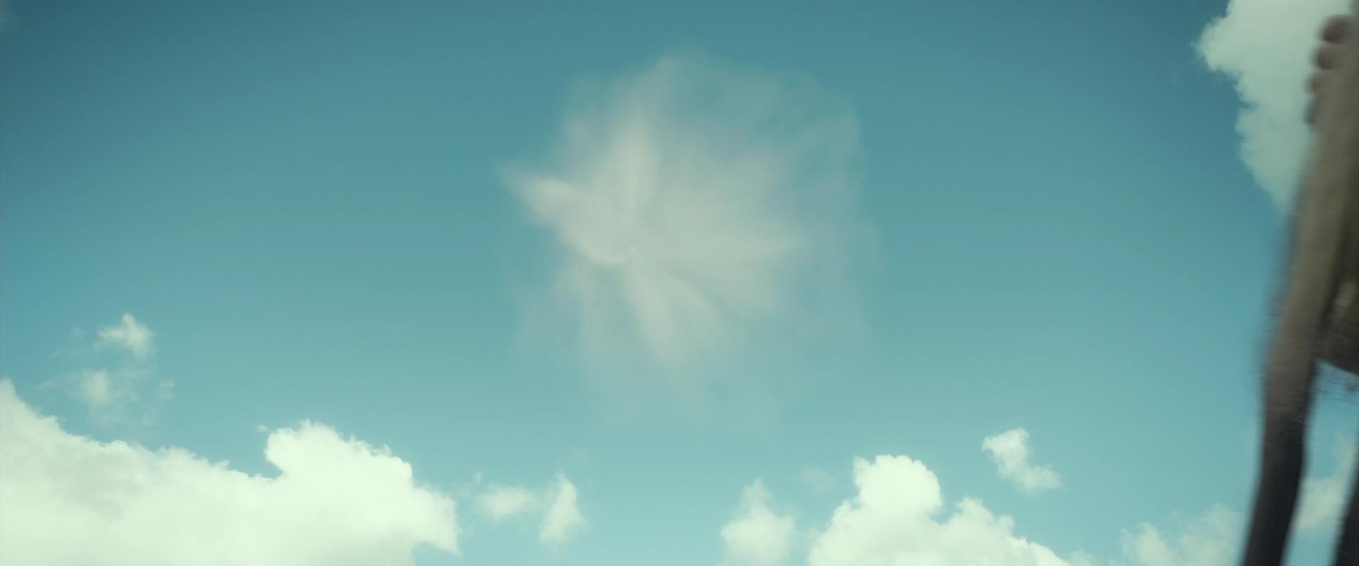 TH_0493.jpg