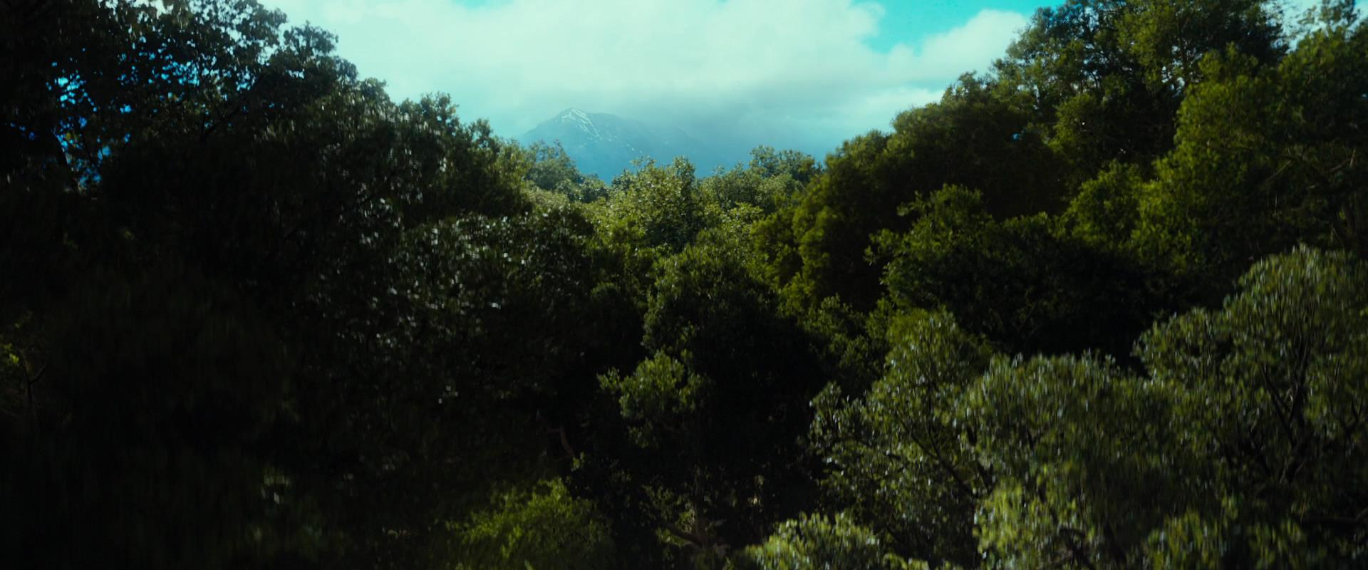 TH_1803.jpg