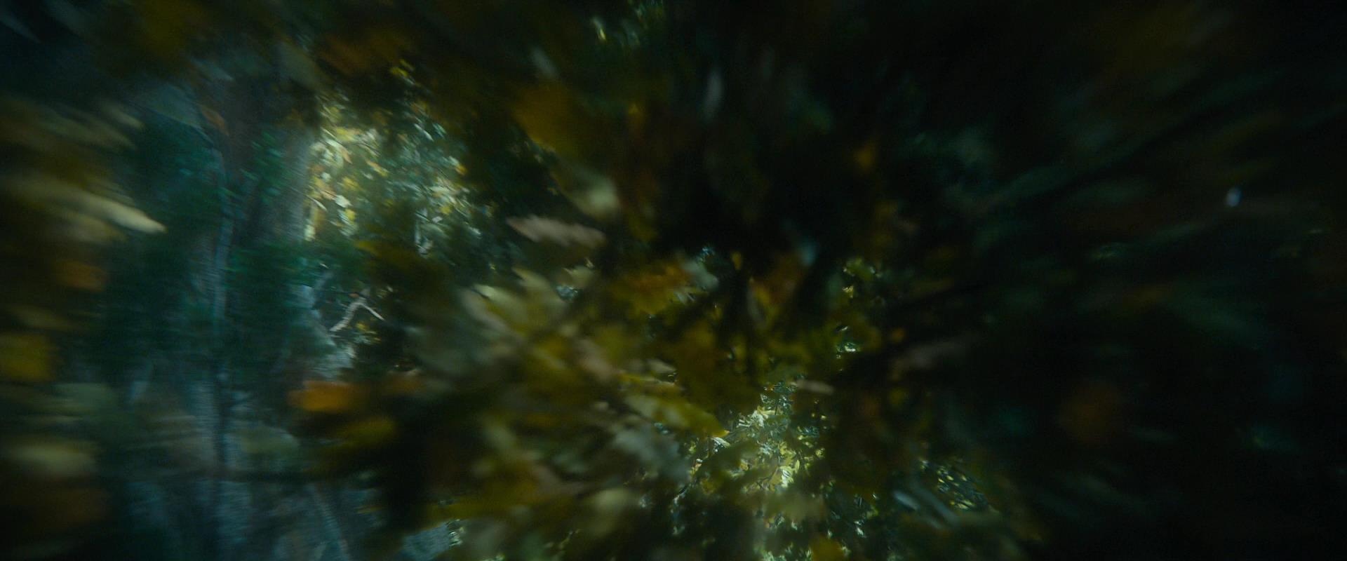 TH_2516.jpg