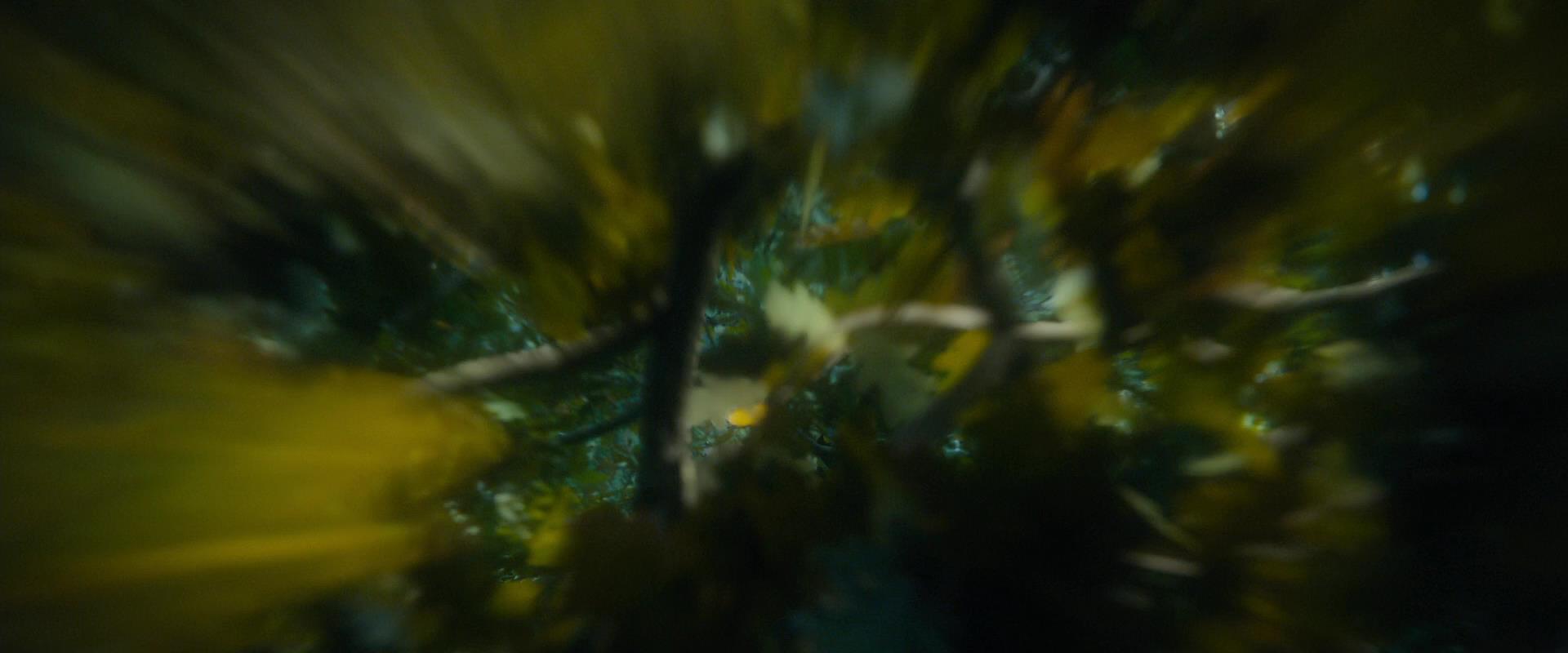 TH_2517.jpg