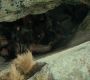 Filename=TH_2893.jpg
Filesize=231KiB
Dimensions=1920x800
Date added=Jun 30, 2013 TH_2893.jpg