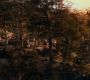 TH_4827.jpg
