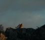 TH_4944.jpg
