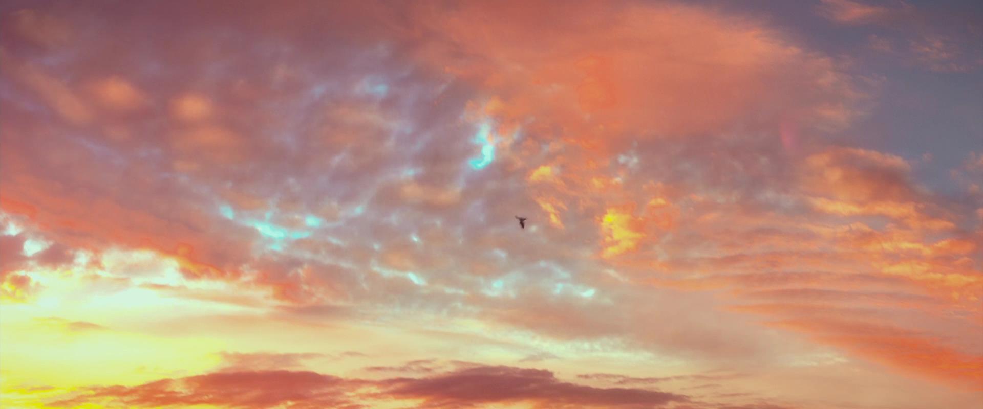 TH_5604.jpg