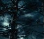 TH_5023.jpg