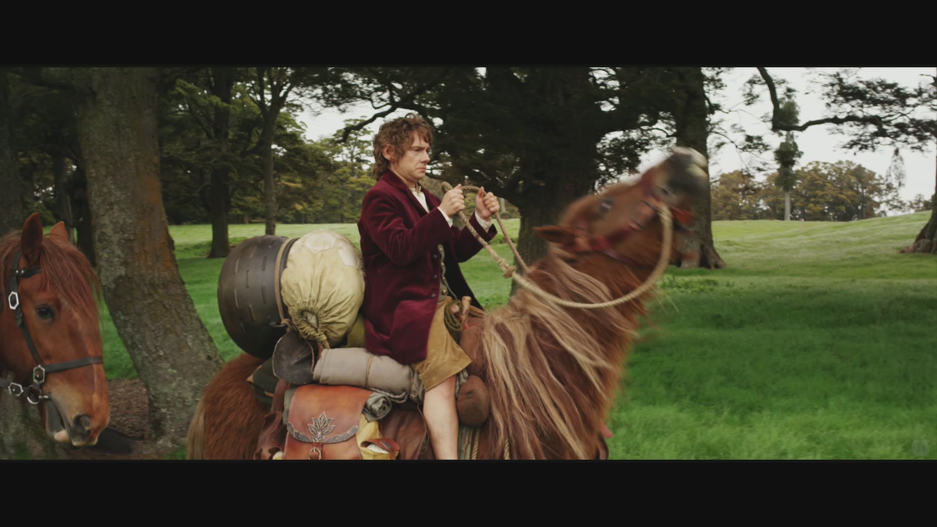 TheHobbit_0014.jpg