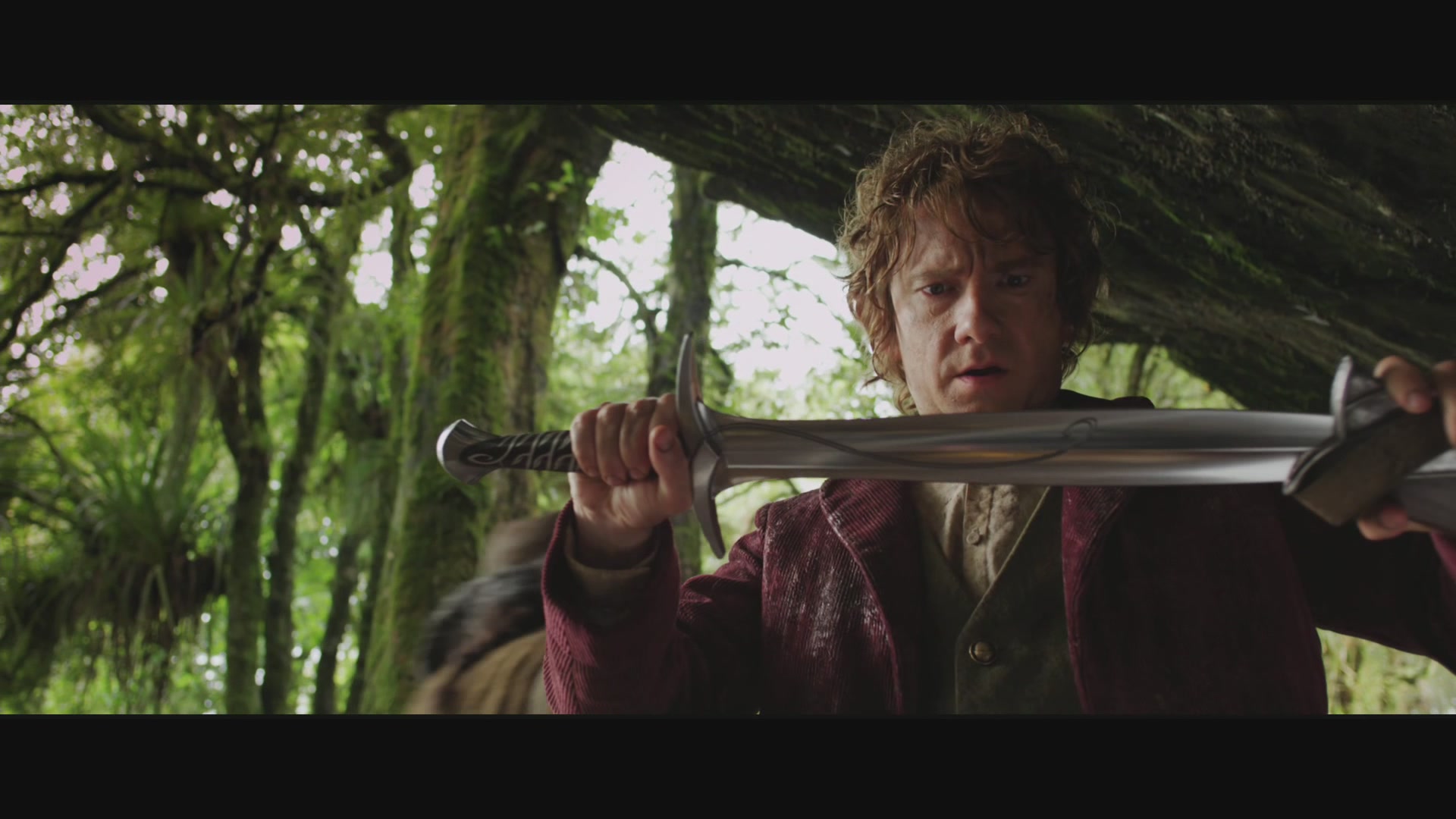 TheHobbit_0080.jpg