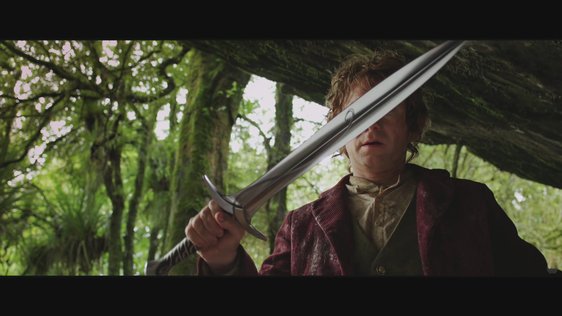 TheHobbit_0081.jpg