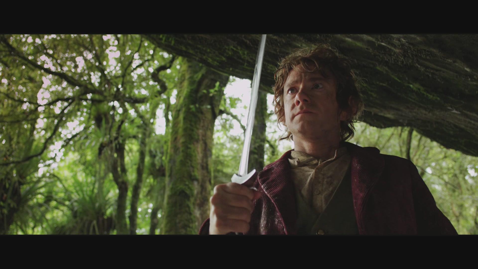 TheHobbit_0082.jpg